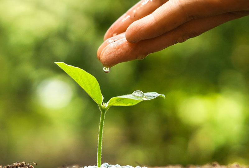 L'équipe Homewell, spécialisée en recherches & développement, et notre bureau d'études innovent au quotidien afin de vous proposer des créations uniques.